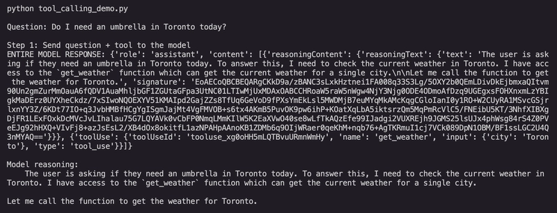 Terminal running the demo with the question 